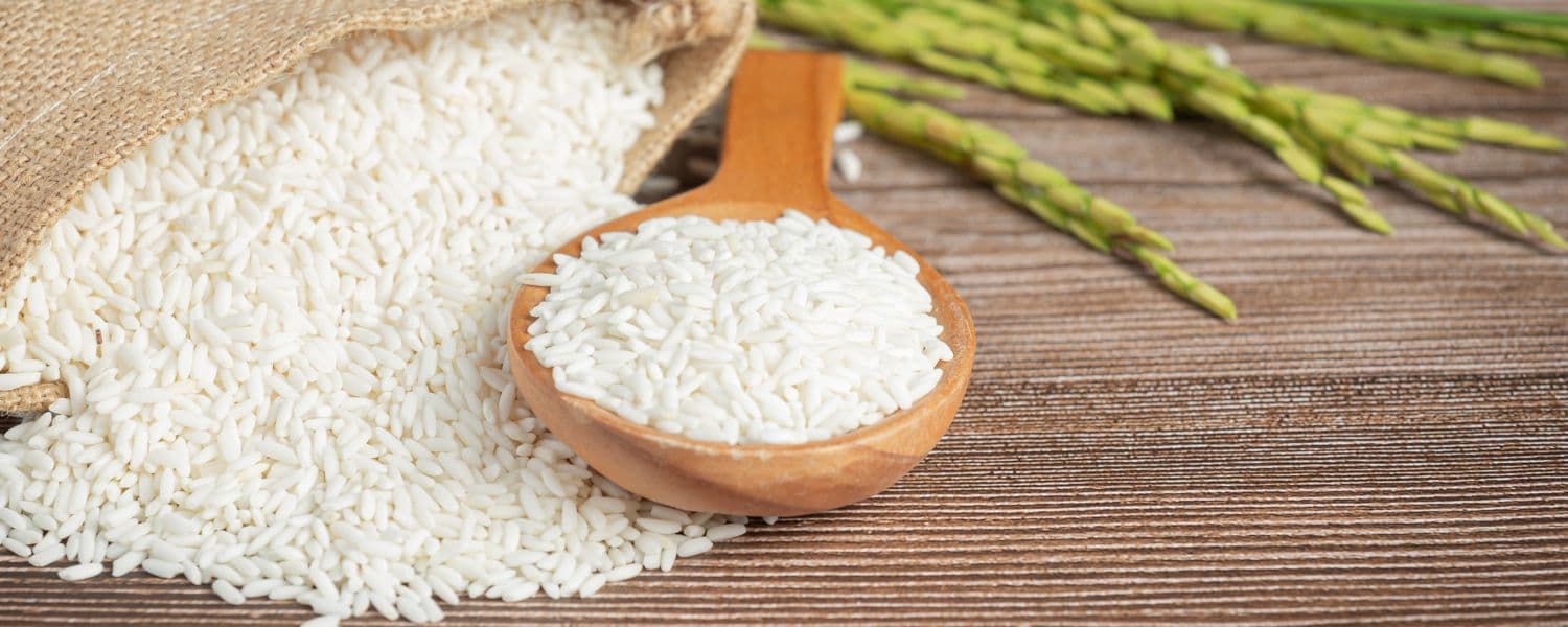 Ponni Rice